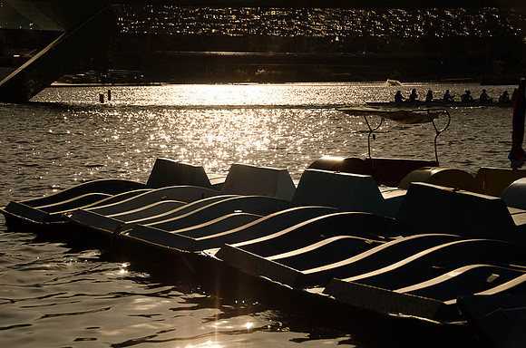 Paddleboats -9626