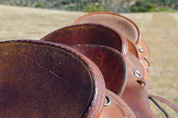 Saddles 9360