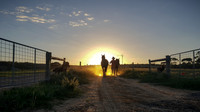Sunrise