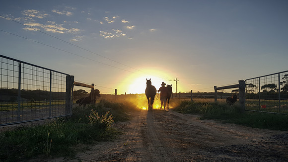Sunrise