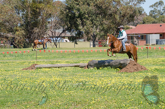 Lr Bare back Obstacle Course 1024-7494