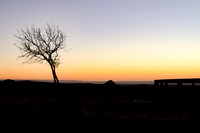 Sunsets edit-5377