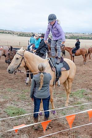 Team Penning 2021 edit-4200