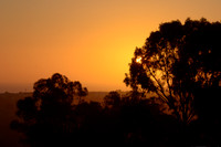 Sunset-DSC_8539