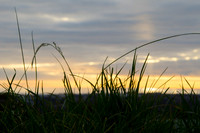 Sunsets edit-9139