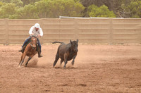 Campdrafting 2-9983