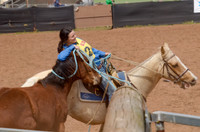 Lr Sun 15 Heritage Horse Catch Finals 1,024-8806