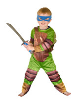 Ninja Turtle 3411