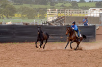 Lr Sun 15 Heritage Horse Catch Finals 1,024-8833
