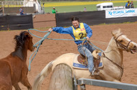 Lr Sun 15 Heritage Horse Catch Finals 1,024-8808