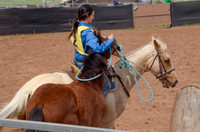 Lr Sun 15 Heritage Horse Catch Finals 1,024-8804