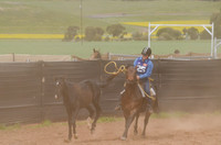Lr Sun 15 Heritage Horse Catch Finals 1,024-8843