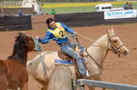 Lr Sun 15 Heritage Horse Catch Finals 1,024-8807