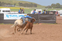 Lr Sun 15 Heritage Horse Catch Finals 1,024-8773
